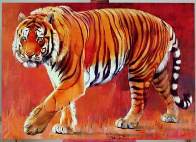 Bengal Tiger by Mark Adlington