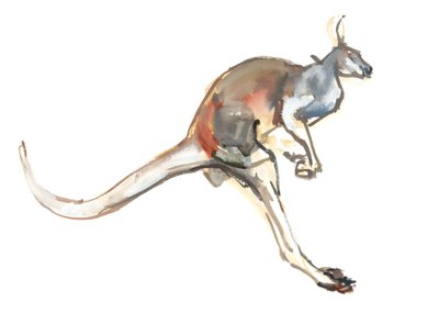 Boing, (Red Kangaroo) by Mark Adlington