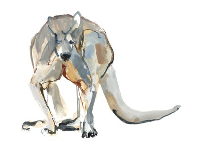 Boxer (Red Kangaroo), 2012 by Mark Adlington