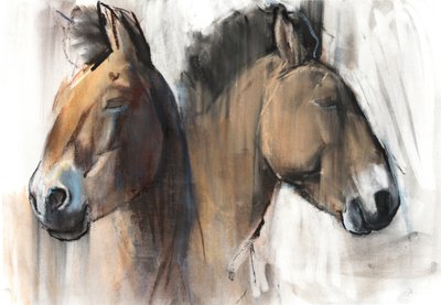 Head Study (Przewalski) by Mark Adlington