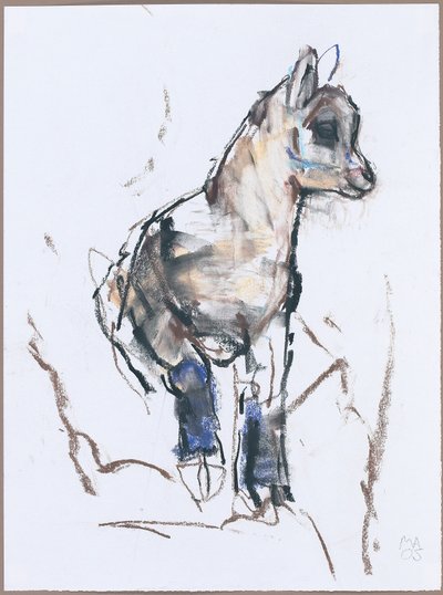 Ibex Kid by Mark Adlington