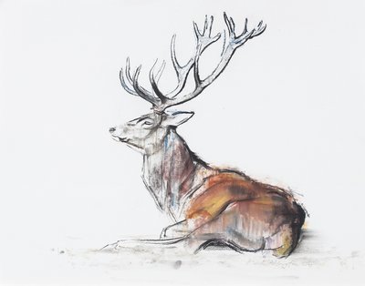 Seated Stag by Mark Adlington
