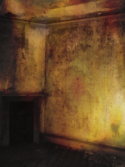 Beauty is a Witch Series Elvaston Castle - Golden Room with Fireplace by Mark Gordon