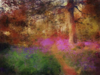 Bluebells at Calke Abbey by Mark Gordon