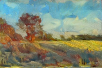 Calke Park by Mark Gordon