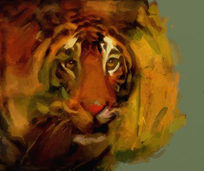 Tiger by Mark Gordon