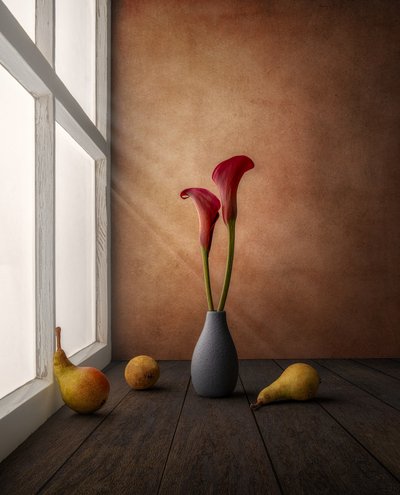Red Lilies Window Light by Marko Klavs
