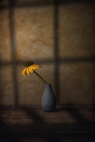 Yellow Flower Shadow by Marko Klavs