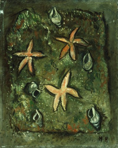 Star Fish and Shells by Marsden Hartley