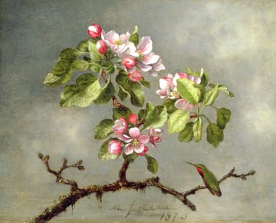 Apple Blossoms and a Hummingbird by Martin Johnson Heade