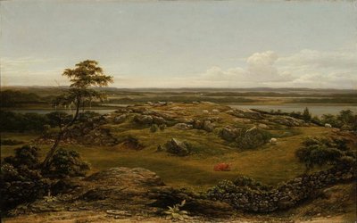 Rocks in New England by Martin Johnson Heade