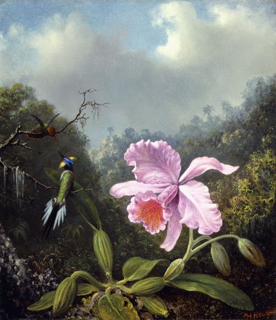 Still Life with Orchid and Pair of Hummingbirds by Martin Johnson Heade