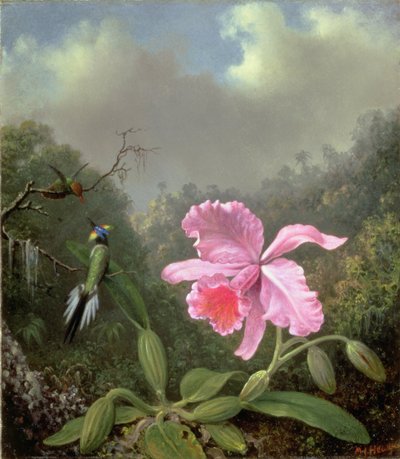 Still Life with an Orchid and a Pair of Hummingbirds by Martin Johnson Heade