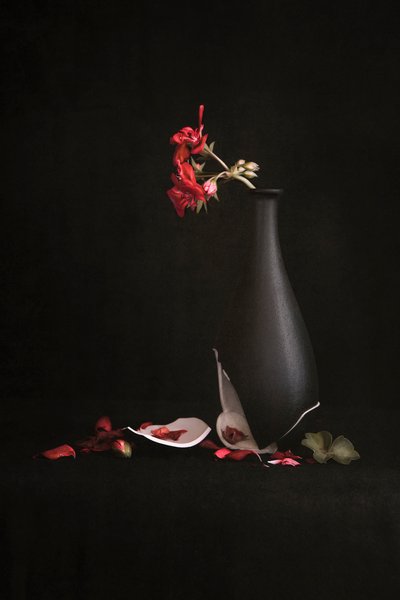 Broken Vase Red Flowers by Martine Benezech