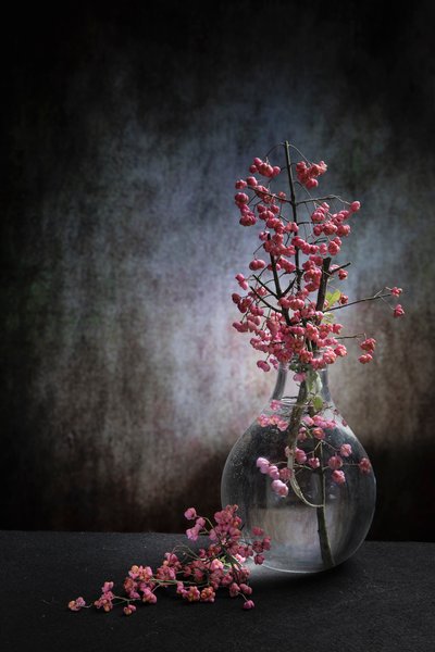 Pink Berries Still Life by Martine Benezech