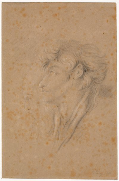 Study of a Youth and a Bearded Old Man