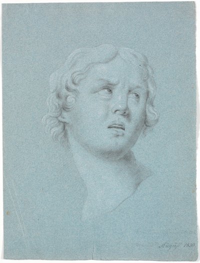 Study of a Woman