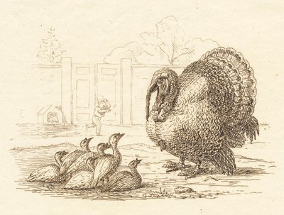 Illustration for 