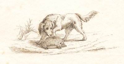 Illustration to 