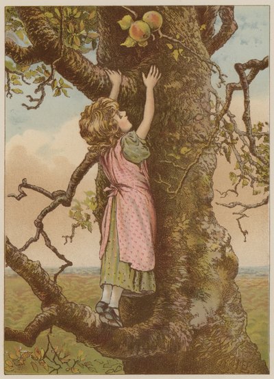 Girl climbing for last apples by Mary Ellen Edwards