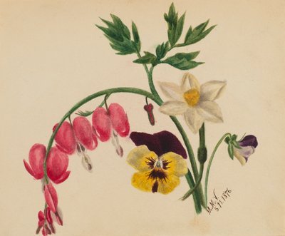 Untitled (Mixed Flowers) by Mary Vaux Walcott
