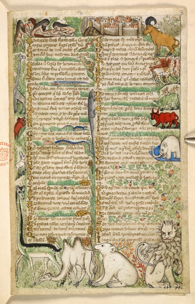 Cannibals, a walled town, and exotic animals including a giraffe, lion, camel, and elephant, from a Treatise on the Virtues and Vices, and an anonymous prose history of Sicily (fragment) by Master of the Cocharelli Codex