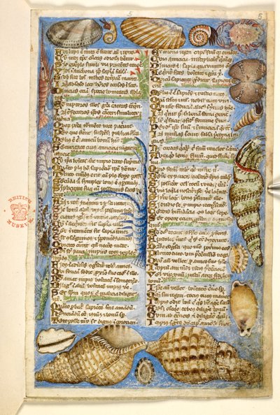 Shells and marine creature, from a Treatise on the Virtues and Vices, and an anonymous prose history of Sicily (fragment), c.1330-40 by Master of the Cocharelli Codex