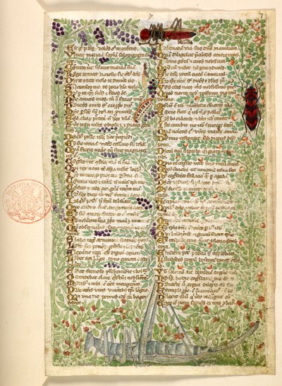 Flowers, Fruit and Insects, including a Grasshopper and a Locust, from 