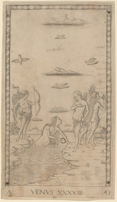 Venus by Master of the E Series Tarocchi