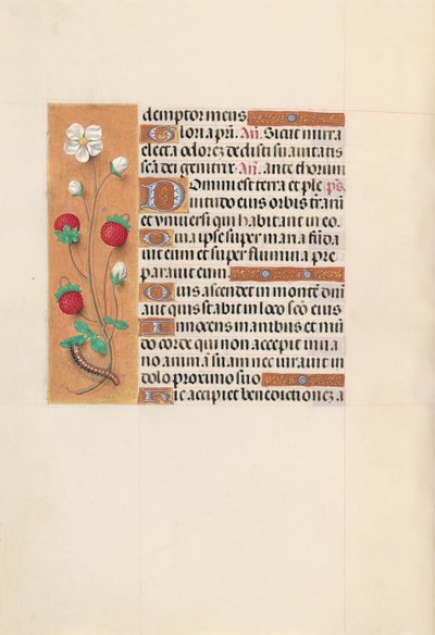 Hours of Queen Isabella the Catholic, Queen of Spain: Fol. 102v by Master of the First Prayerbook of Maximillian