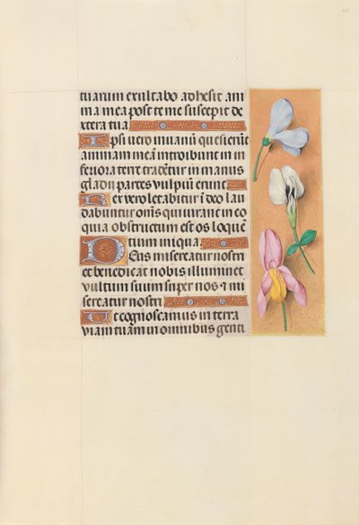 Hours of Queen Isabella the Catholic, Queen of Spain: Fol. 118r by Master of the First Prayerbook of Maximillian