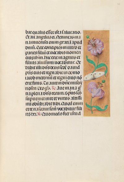 Hours of Queen Isabella the Catholic, Queen of Spain: Fol. 163r, c. 1500 by Master of the First Prayerbook of Maximillian