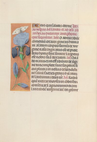 Hours of Queen Isabella the Catholic, Queen of Spain: Fol. 165v, c. 1500 by Master of the First Prayerbook of Maximillian