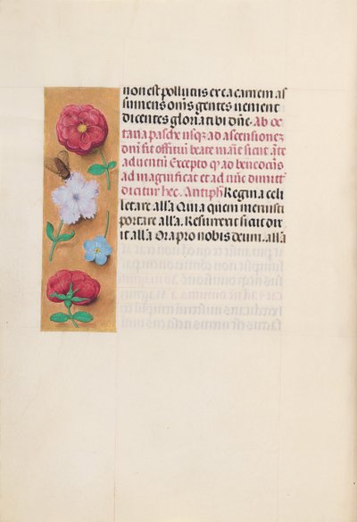 Hours of Queen Isabella the Catholic, Queen of Spain: Fol. 166v by Master of the First Prayerbook of Maximillian