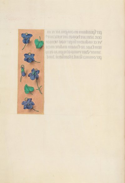 Hours of Queen Isabella the Catholic, Queen of Spain: Fol. 16v, Short Border by Master of the First Prayerbook of Maximillian