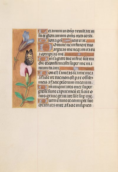 Hours of Queen Isabella the Catholic, Queen of Spain: Fol. 202v by Master of the First Prayerbook of Maximillian