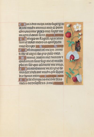 Hours of Queen Isabella the Catholic, Queen of Spain: Fol. 204r by Master of the First Prayerbook of Maximillian