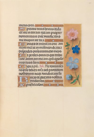 Hours of Queen Isabella the Catholic, Queen of Spain: Fol. 210r, c. 1500 by Master of the First Prayerbook of Maximillian