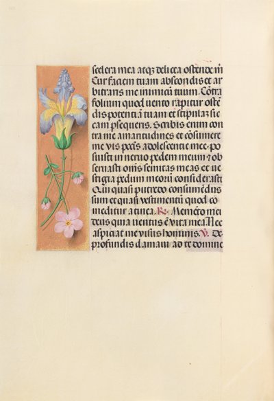 Hours of Queen Isabella the Catholic, Queen of Spain: Fol. 237v, c. 1500 by Master of the First Prayerbook of Maximillian