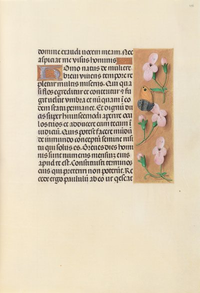 Hours of Queen Isabella the Catholic, Queen of Spain: Fol. 238r by Master of the First Prayerbook of Maximillian