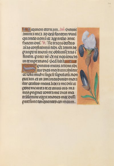 Hours of Queen Isabella the Catholic, Queen of Spain: Fol. 244r by Master of the First Prayerbook of Maximillian
