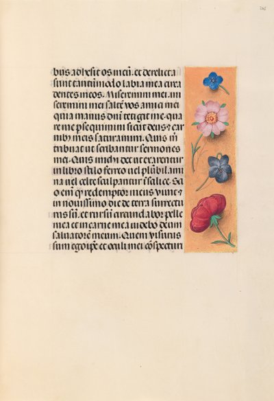 Hours of Queen Isabella the Catholic, Queen of Spain: Fol. 245r by Master of the First Prayerbook of Maximillian