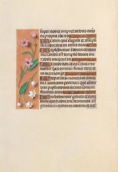 Hours of Queen Isabella the Catholic, Queen of Spain: Fol. 248v, c. 1500 by Master of the First Prayerbook of Maximillian