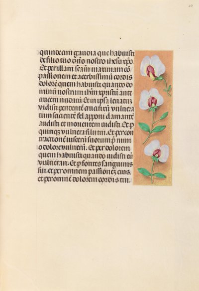 Hours of Queen Isabella the Catholic, Queen of Spain: Fol. 259r by Master of the First Prayerbook of Maximillian