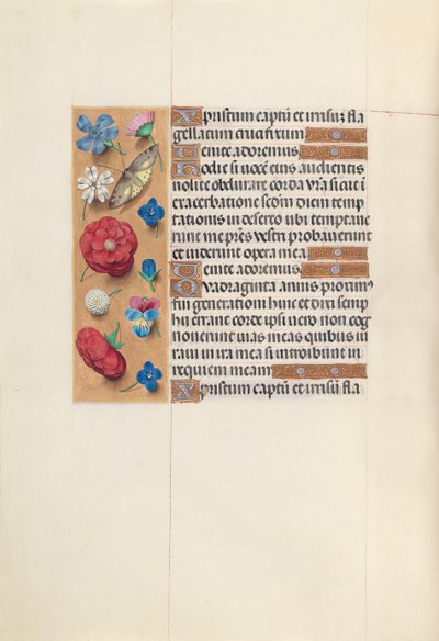 Hours of Queen Isabella the Catholic, Queen of Spain: Fol. 51v by Master of the First Prayerbook of Maximillian