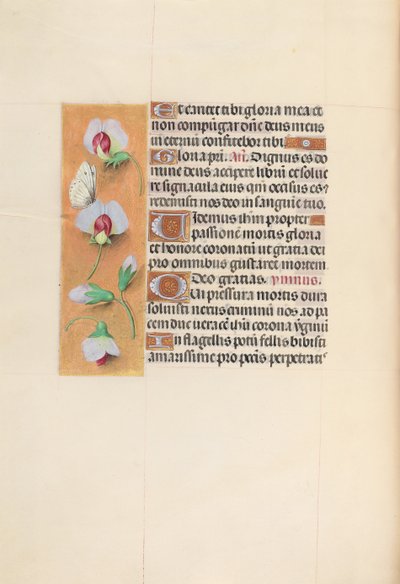 Hours of Queen Isabella the Catholic, Queen of Spain: Fol. 74v by Master of the First Prayerbook of Maximillian