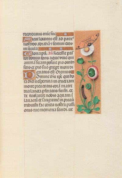 Hours of Queen Isabella the Catholic, Queen of Spain: Fol. 76r by Master of the First Prayerbook of Maximillian