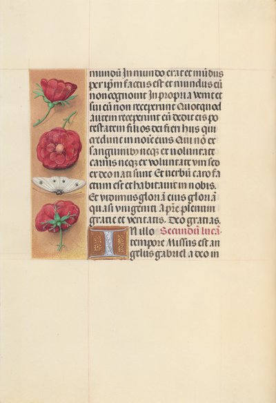 Hours of Queen Isabella the Catholic, Queen of Spain: Fol. 93v by Master of the First Prayerbook of Maximillian