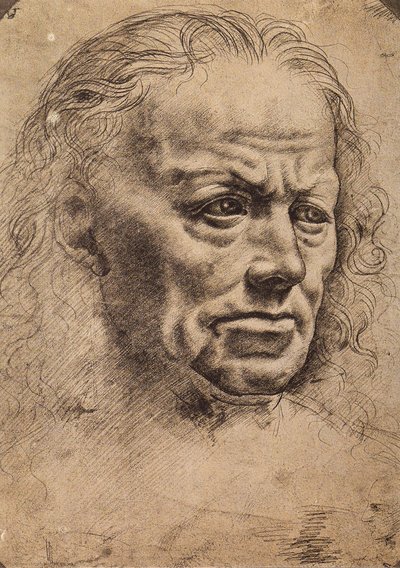 Head of a man by Master of the Pala Sforzesca