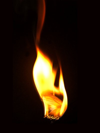 Burning Butterfly 16 by Mat Collishaw